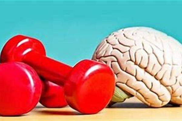 اثر شدت ورزش بر عملکرد مغز